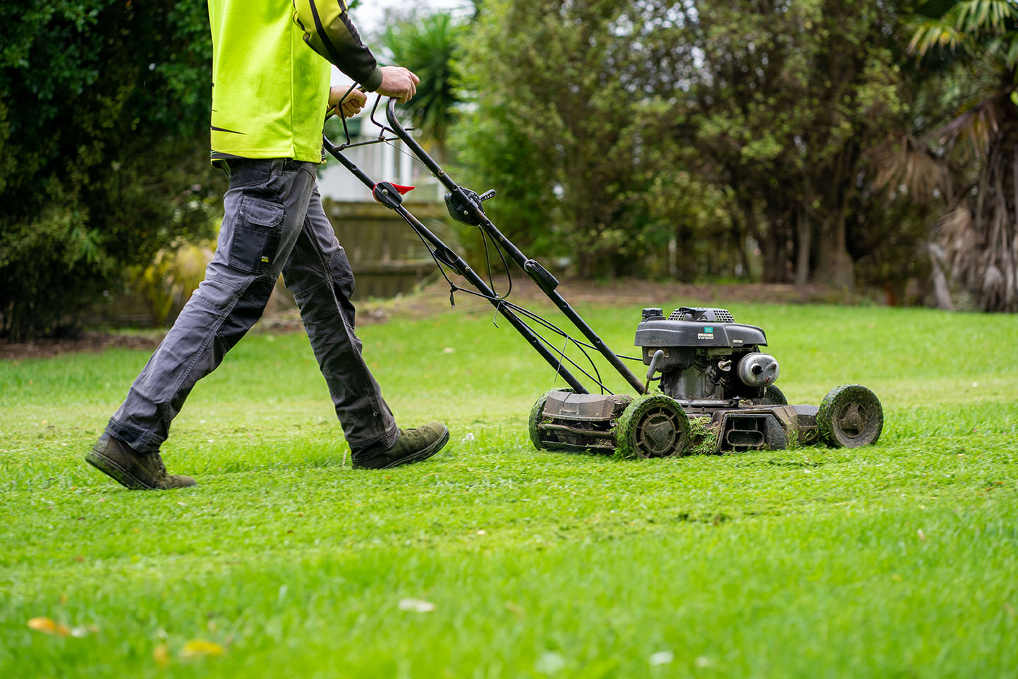 Lawn Mowing