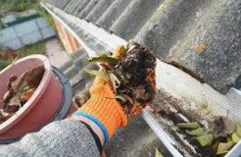 Gutter Cleaner