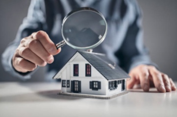 Home Inspectors