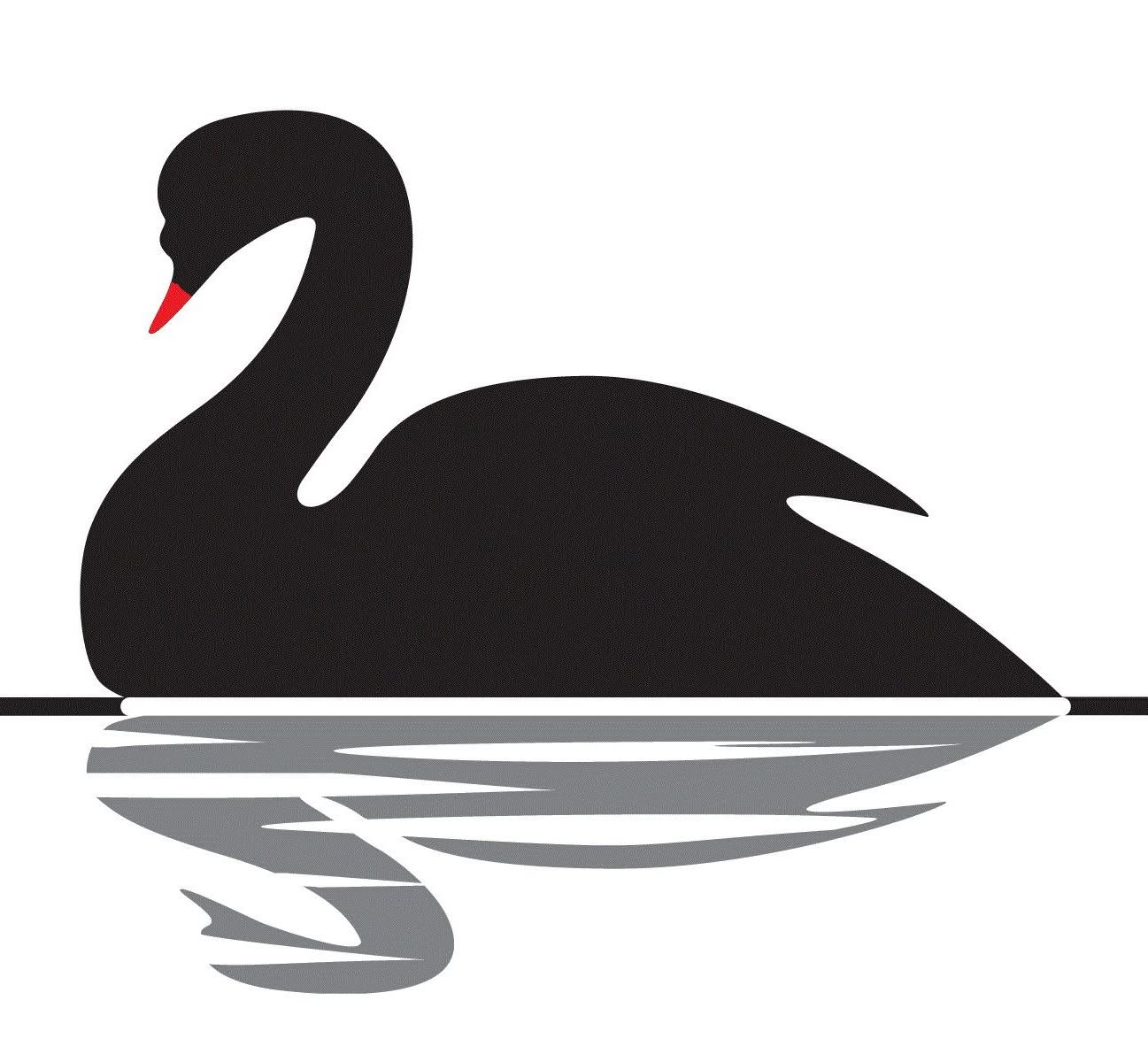 Swan Coatings