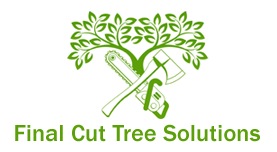Final Cut Tree Solutions
