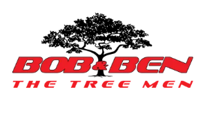 Bob & Ben The Tree Men
