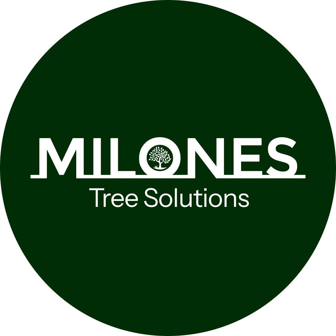 Milone’s Tree Solutions