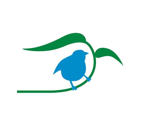 ACT Tree Felling
