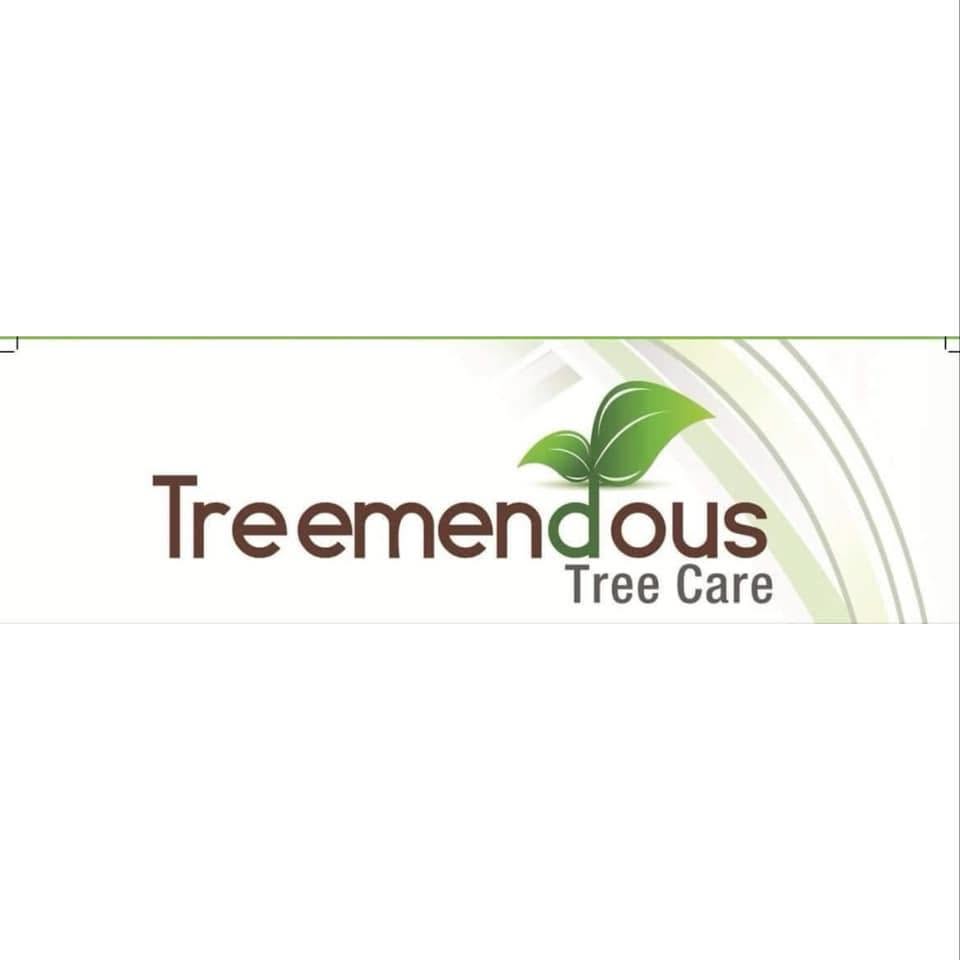 Treemendous Tree Care Sydney