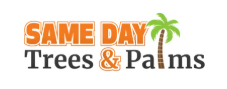 Same Day Trees & Palms